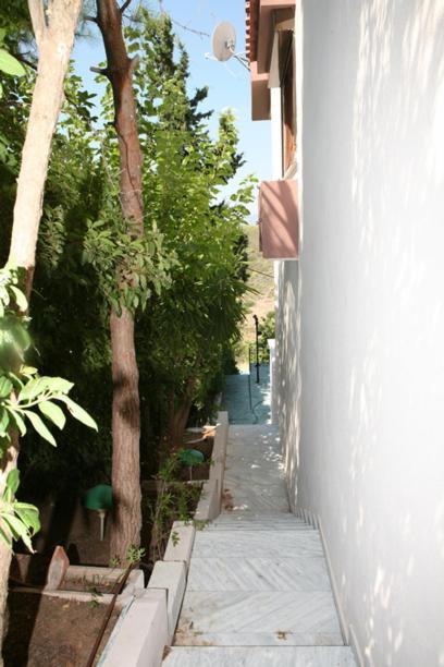 Cosy Villa Pikérmion المظهر الخارجي الصورة