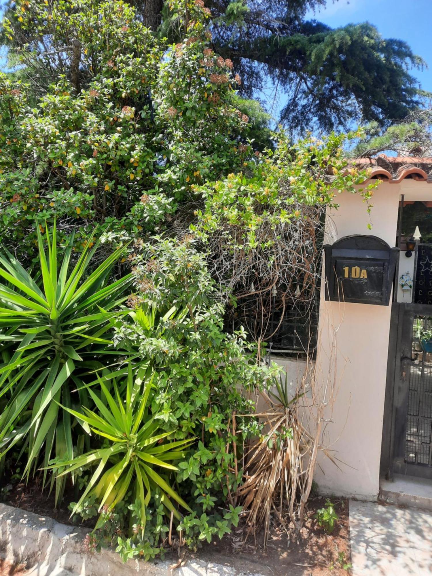 Cosy Villa Pikérmion المظهر الخارجي الصورة